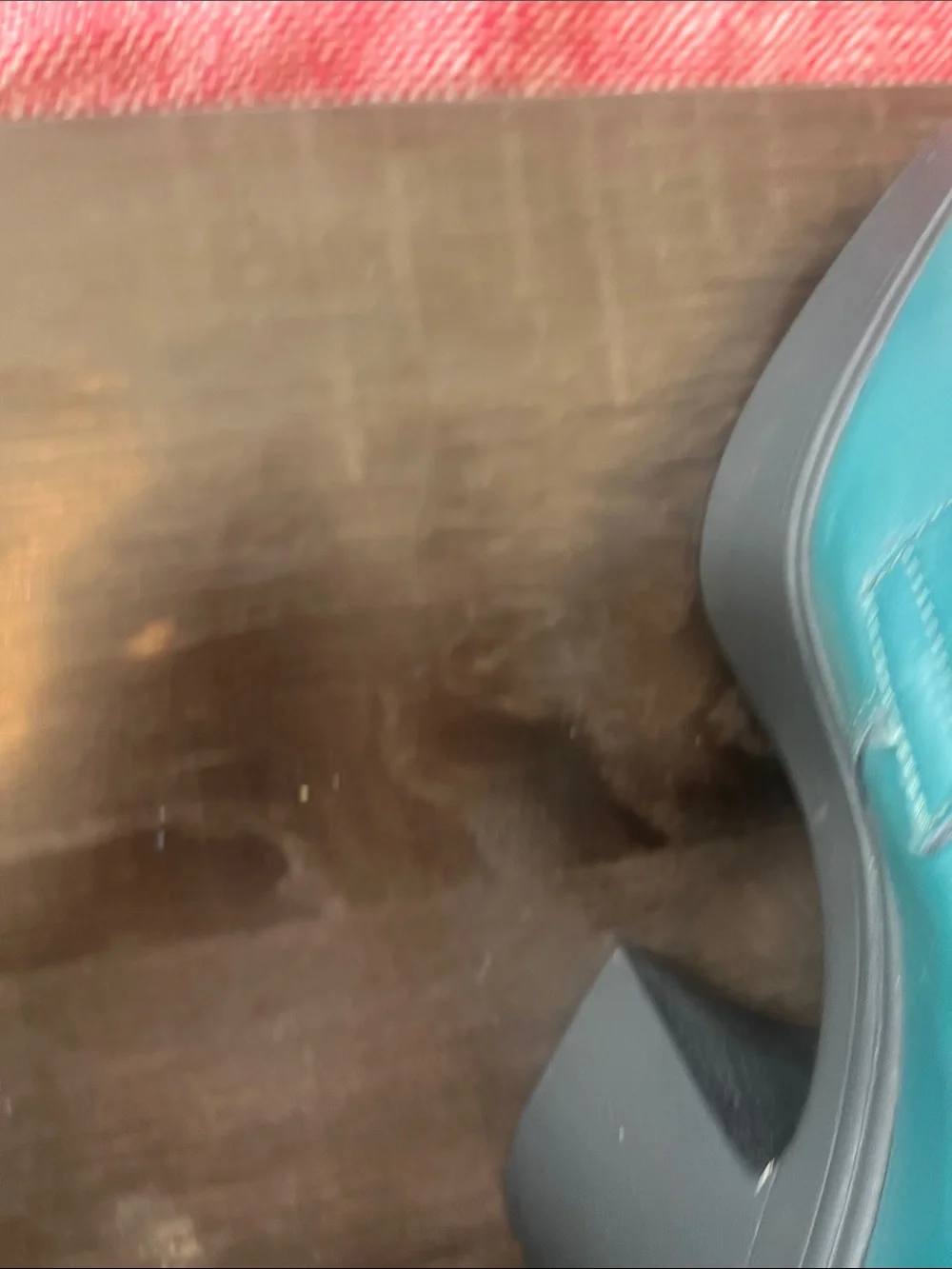 Free people teal platform heels size 8